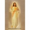 Lot de 50 Images 'Jésus j'ai confiance en Toi' - peinture des Pères Pallottin - format 15x21 cm